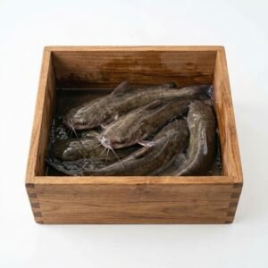 Catfish - Full box