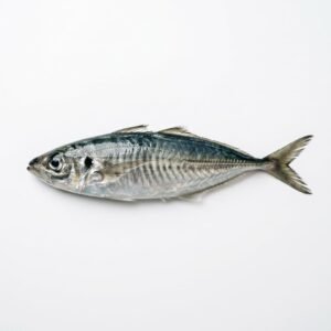 Jack Mackerel - per kg