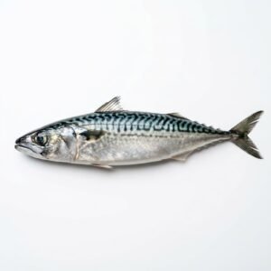 Mackerel - 10kg