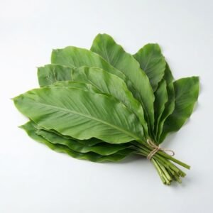 Moimoi Leaf - Standard