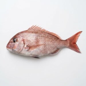 Red Beam Fish - Full box