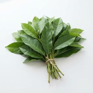 Uziza Leaf - each