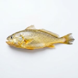 Yellow Croaker - 1 pack