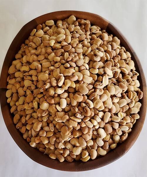 Heritage Honey Beans - 4kg